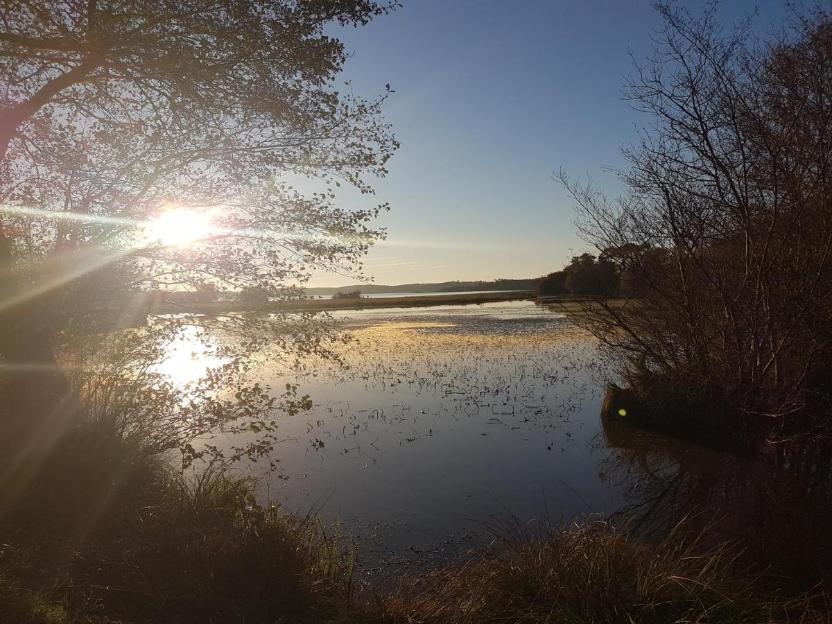 Les Terrasses Du Lac Piscine Et Vue Lac A4 Aureilhan  Zewnętrze zdjęcie